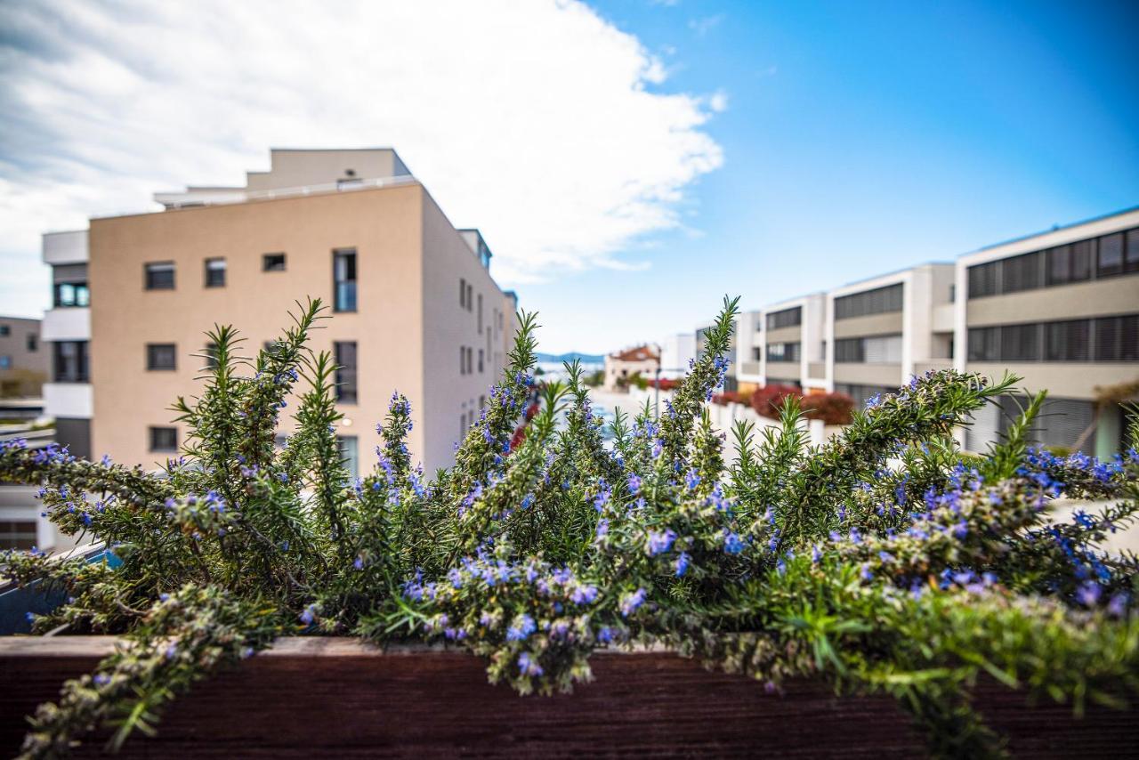 Ika Boutique Luxury Apartments Zadar Buitenkant foto